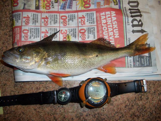 Vuoden 2007 eka saalis 1.1.2007 klo 2:43. paino 200g. 